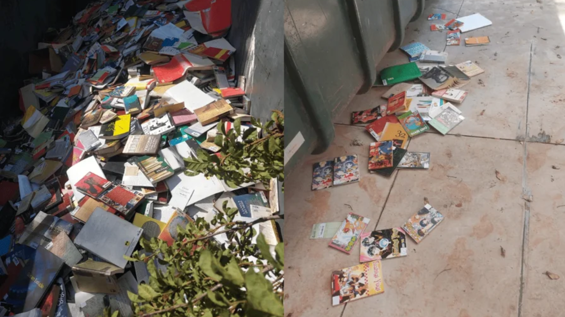 Uma imagem composta de duas fotografias verticais justapostas, ambas retratando o descarte em massa de livros em um ambiente urbano ao ar livre. A fotografia da esquerda mostra o interior de um grande contêiner de metal de lixo industrial. O contêiner está quase cheio até a borda com uma pilha desordenada e emaranhada de centenas, talvez milhares, de livros. Os livros são de vários tamanhos, com capas de cores diferentes (vermelho, amarelo, azul, verde, branco), muitas delas desgastadas, amassadas ou abertas, criando um amontoado caótico de papel e papelão. No canto inferior direito da imagem, um arbusto verde frondoso obscurece parcialmente a borda do contêiner e alguns dos livros, sugerindo que a cena foi capturada de um ângulo lateral. A fotografia da direita mostra o chão de concreto ao lado da base de um grande contêiner de lixo industrial de plástico verde-oliva. Vários livros de bolso, muitos com capas vibrantes de estilo anime ou mangá (como "Fushigi Yugi" visível), estão espalhados desordenadamente pelo chão de concreto empoeirado ao redor do contêiner. Mais livros estão empilhados ou caídos perto da base do contêiner. O chão parece desgastado e sujo. A luz do dia brilha intensamente nas duas cenas.