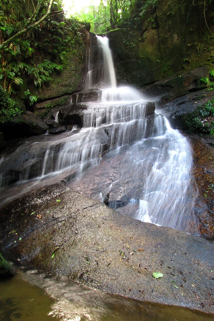 Uma cachoeira desce por grandes pedras no meio de uma floresta verde e densa, formando pequenas quedas d’água.