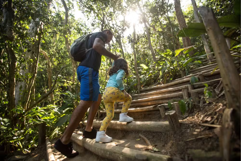 Duas pessoas percorrem uma trilha cercada pela vegetação da Mata Atlântica, subindo uma escadaria de madeira em meio à floresta.